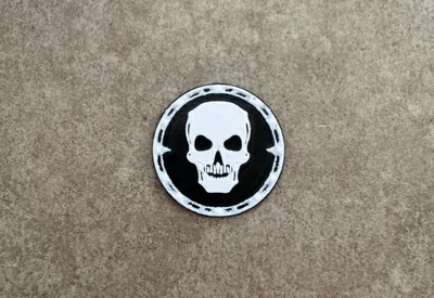 Skull medallion