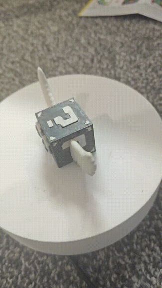 steal a brainrot - secret lucky block
