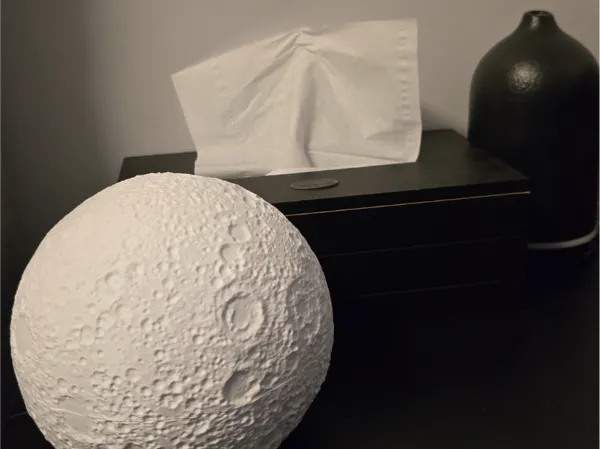 https://makerworld.bblmw.com/makerworld/model/USe8aa3abd2a6a00/design/2024-07-14_4a36ff96b91e1.jpg