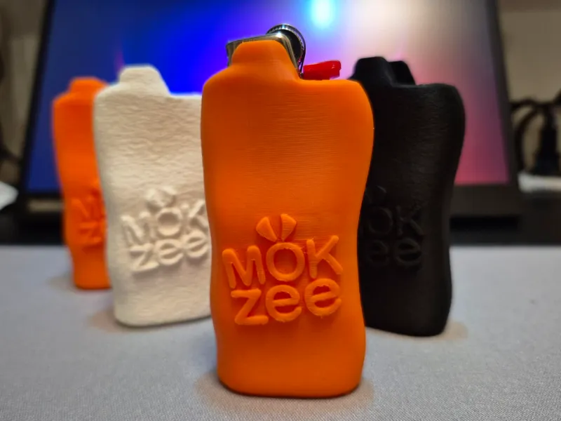 BIC lighter case