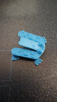 Grenouille sauteuse miniature — photo 2