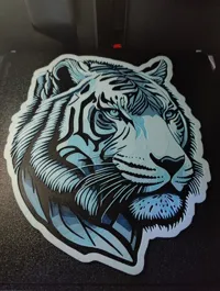 0.08mm layer, 2 walls, 100% infill