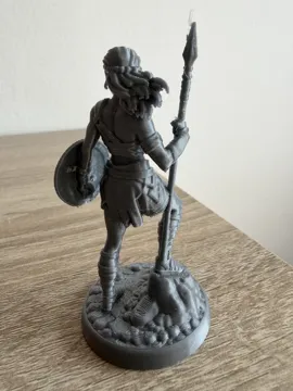 Modelo para impresión 3D: Amazon warrior — vista de referencia 5