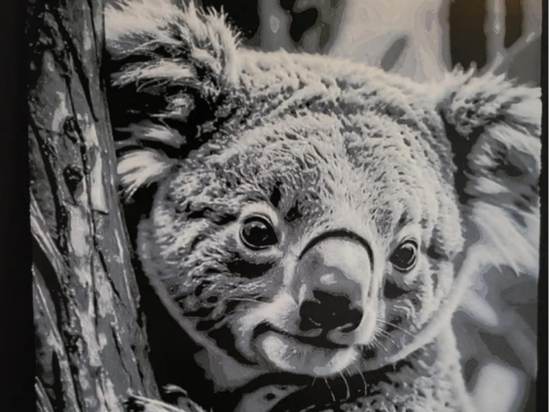 Koala Hueforge