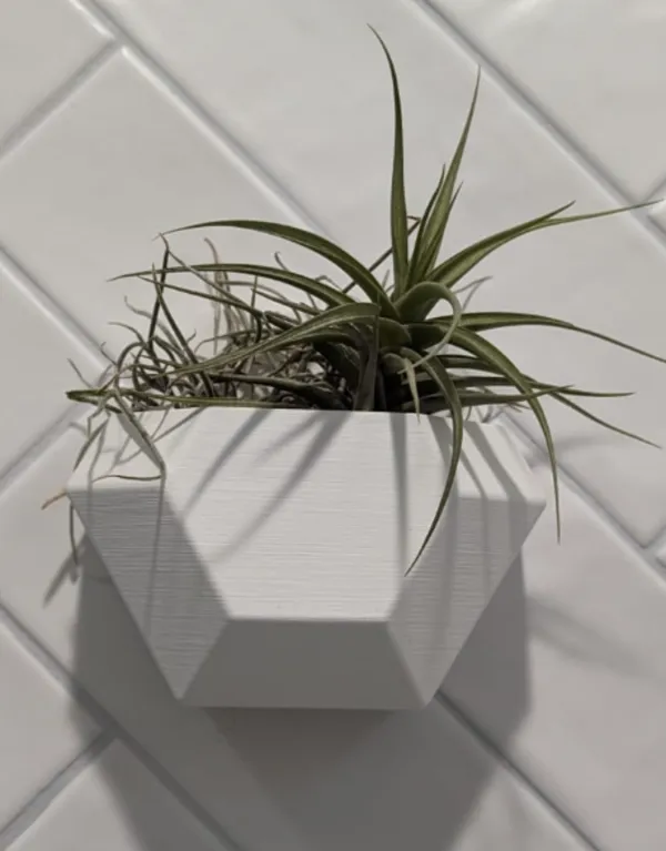 https://makerworld.bblmw.com/makerworld/model/USe8c7cdb8a24078/design/2024-05-31_a2608bd26383a.jpeg