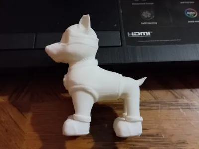 Apollo Paw Patrol