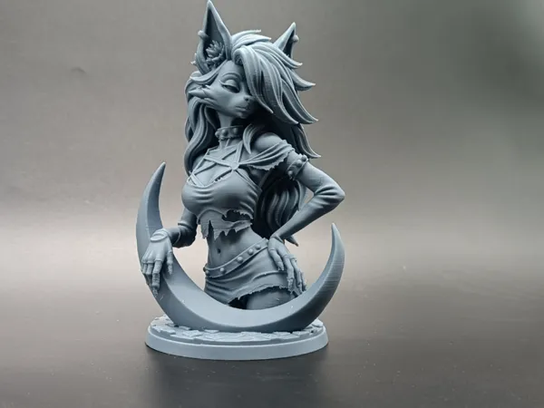 https://makerworld.bblmw.com/makerworld/model/USe8c8f1a37a9ba5/design/18bf94d955d0b199.jpg