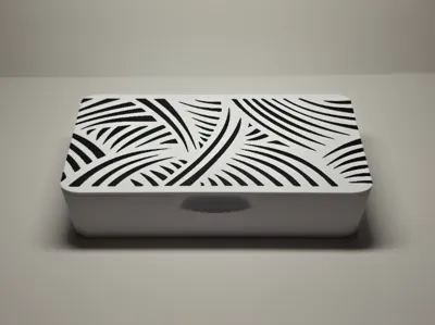 SnapBox