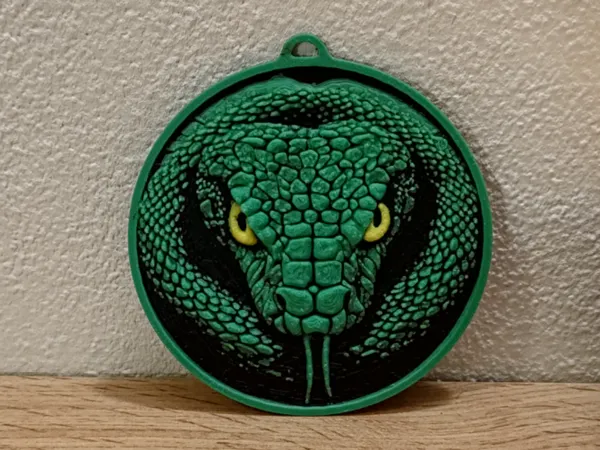 https://makerworld.bblmw.com/makerworld/model/USe8d14f27b15039/design/2025-01-03_c98e8d7ef1eac.jpg