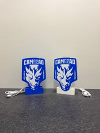 0.2mm layer, 2 walls, 20% infill (blue edition)