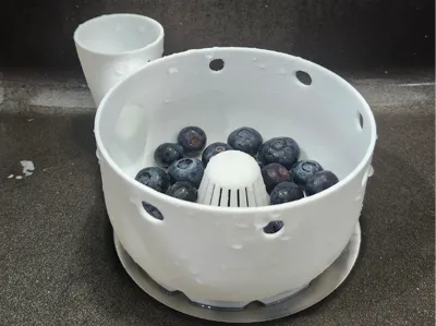 Automatic Fruit & Vegetable Washer