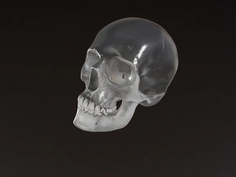 Human Skull – Realistic 3D Model 