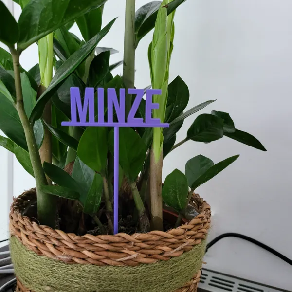 https://makerworld.bblmw.com/makerworld/model/USe8d94a64d88a38/design/2024-02-25_7a46310348308.jpg