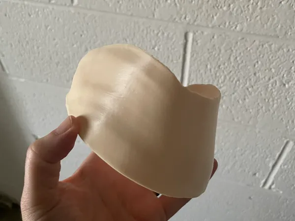 https://makerworld.bblmw.com/makerworld/model/USe8e251842fa0c2/design/2025-11-15_bccca52bc19b38.jpeg