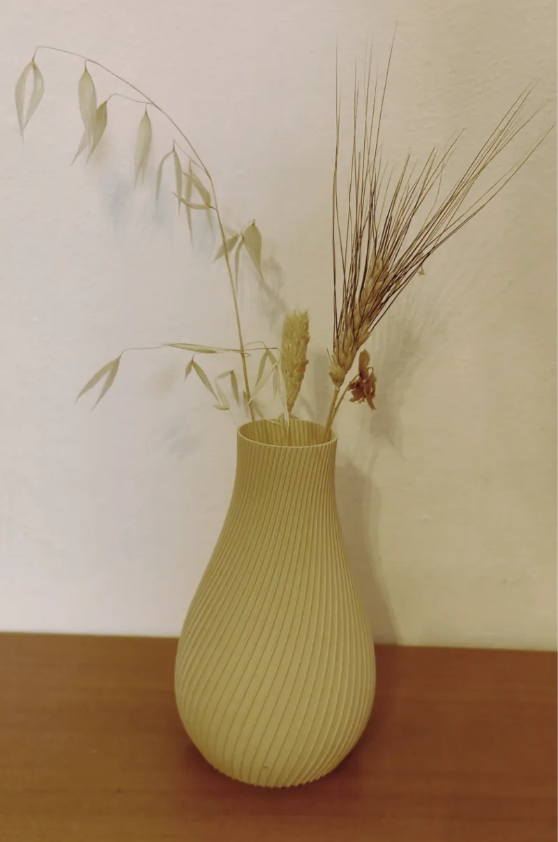 Simple and stylish Vase