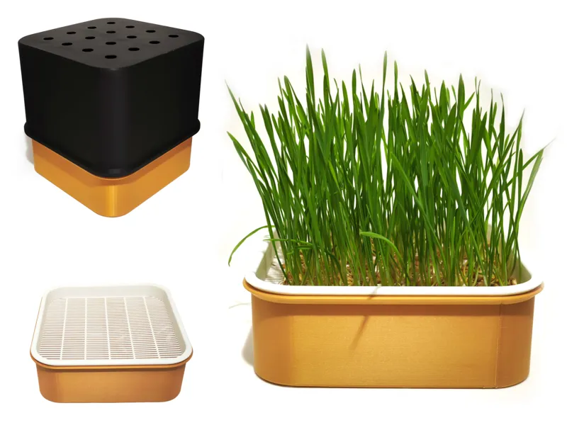 Hydroponic Microgreens and Peanut Sprouting Box