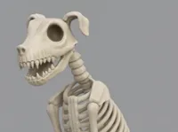 Chien squelette, Jour des Morts — photo 2