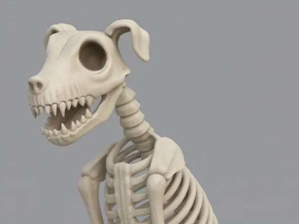 Chien squelette, Jour des Morts