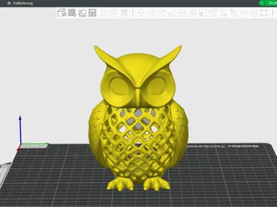 Owl with big eyes