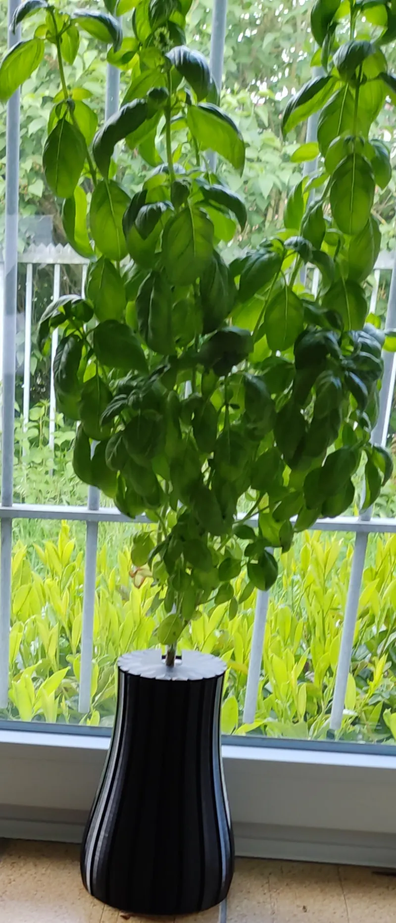 Extra large vase for deep water hydroponics