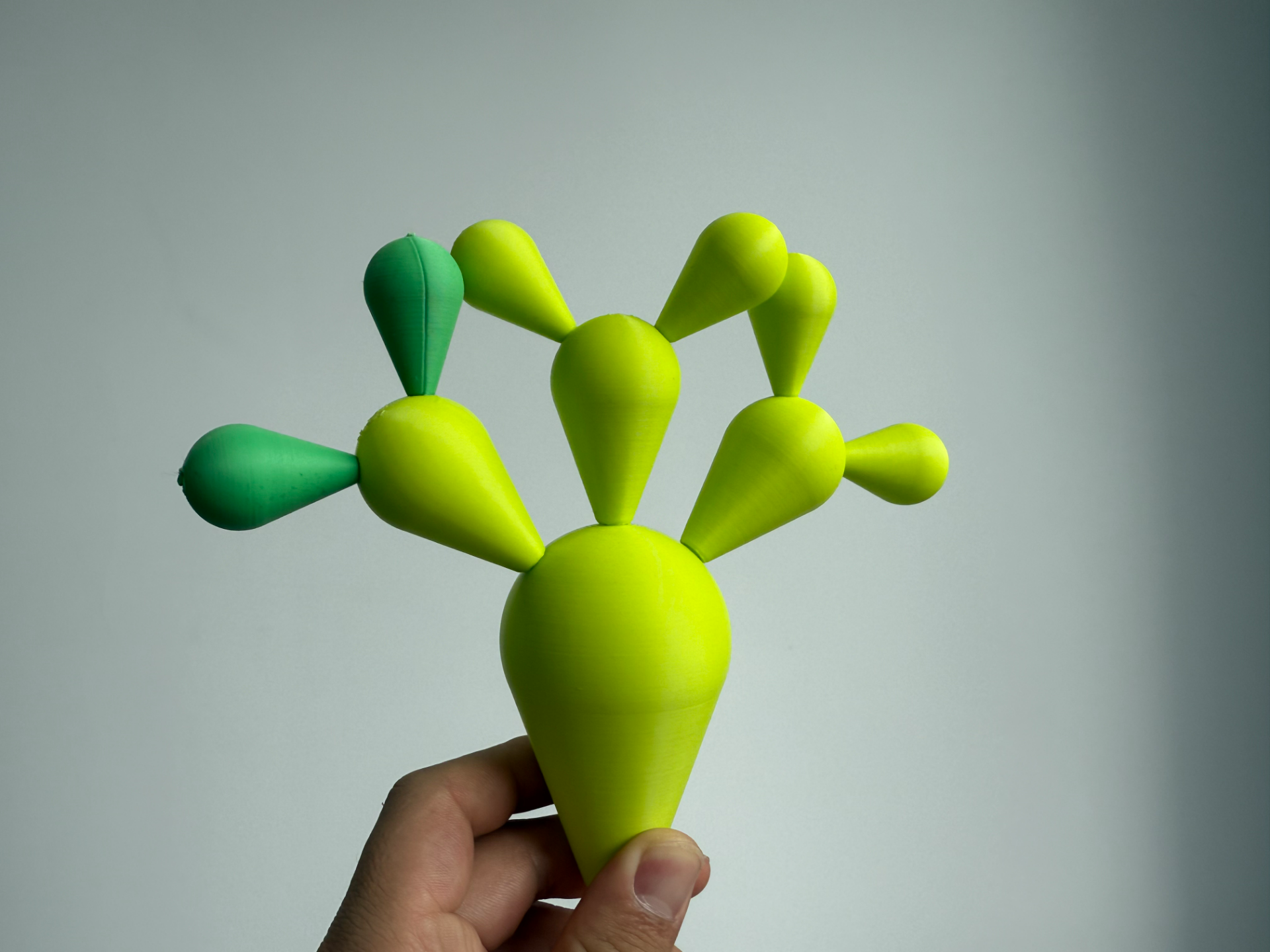 Miniatura 2 do modelo 3D 蒙氏教育 仙人掌教具