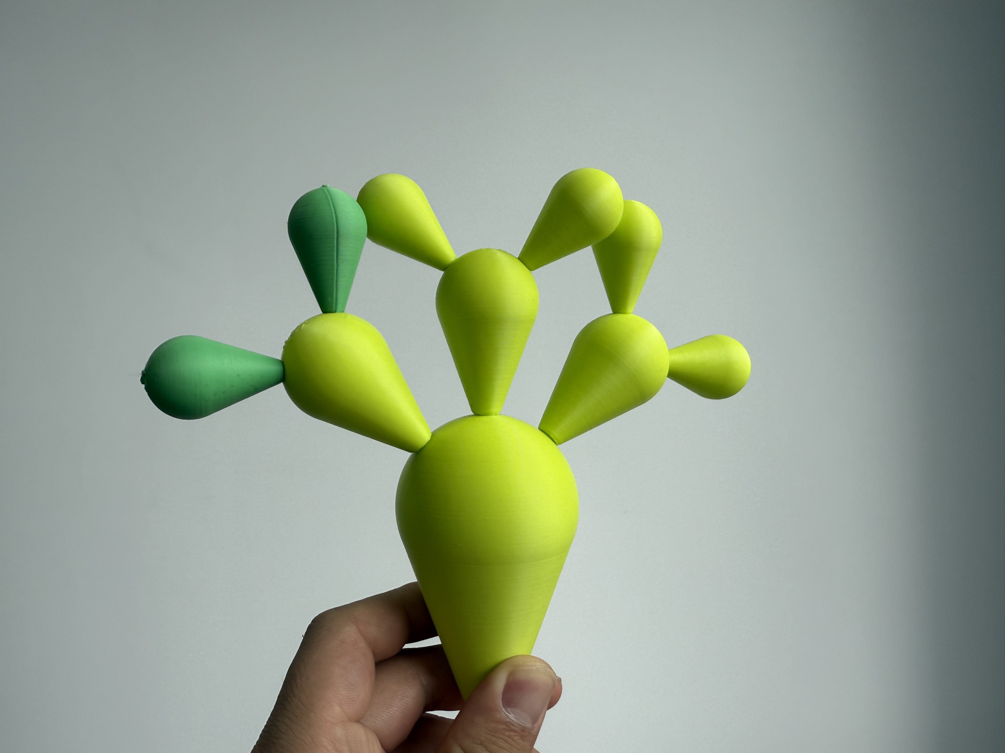Miniatura 3 do modelo 3D 蒙氏教育 仙人掌教具