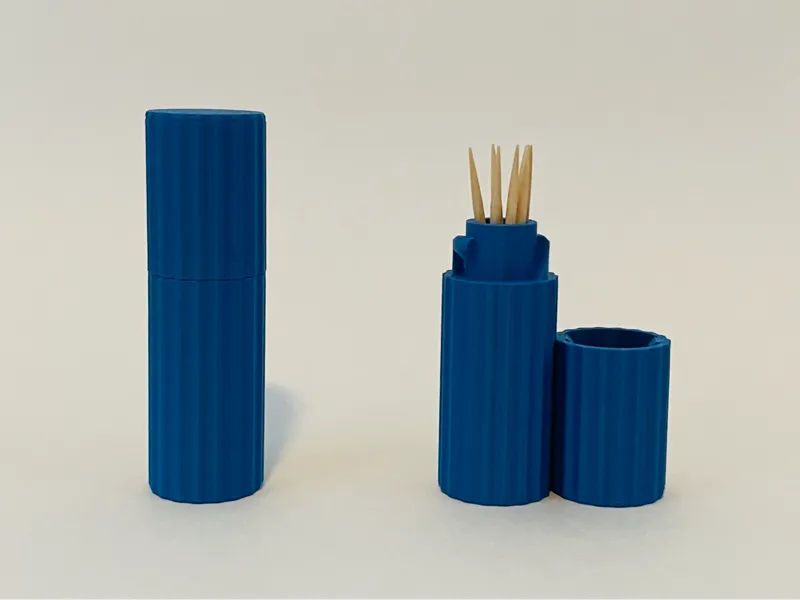 Toothpick Travel Case