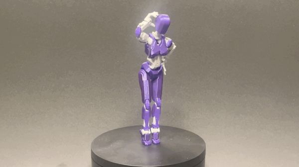 https://makerworld.bblmw.com/makerworld/model/USe909d455b2087d/design/2024-11-06_459298b9be5aa.gif