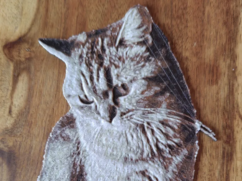 Katze Britisch Kurzhaar Hueforge