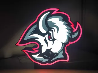 Buffalo Sabres - Lightbox