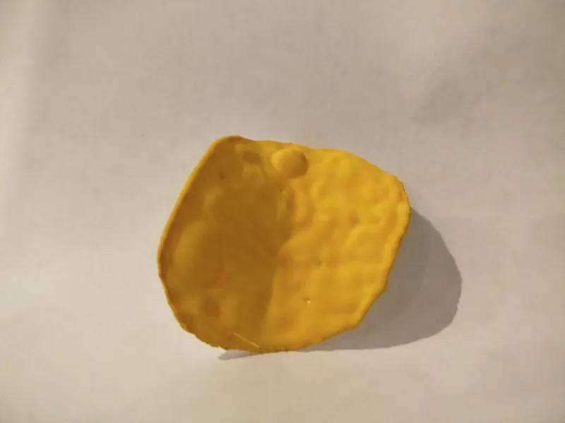 fake chip