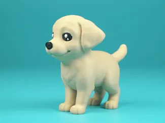 Labrador Retriever Puppy