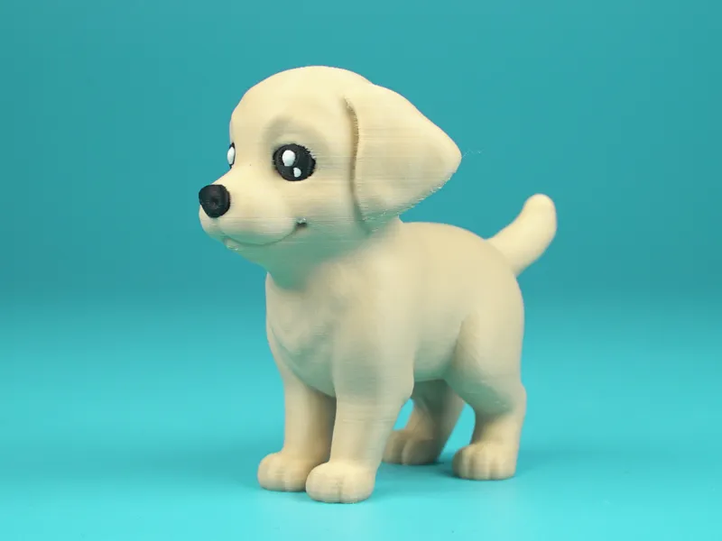 Labrador Retriever Puppy