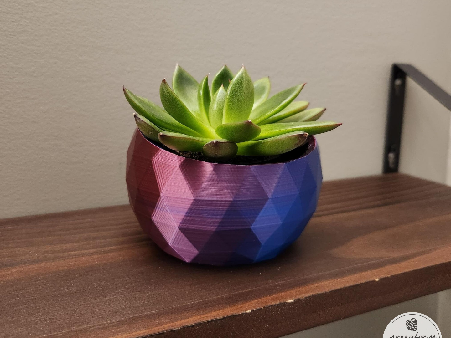 Geometric Tilted Succulent Planter