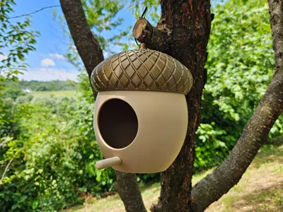 Acorn birdhouse