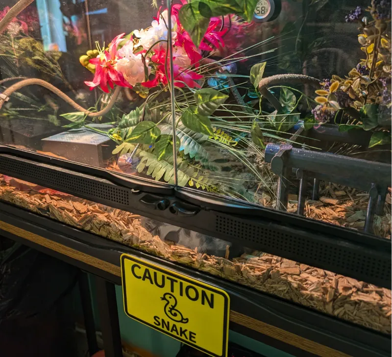 Caution Snake Sign AMS