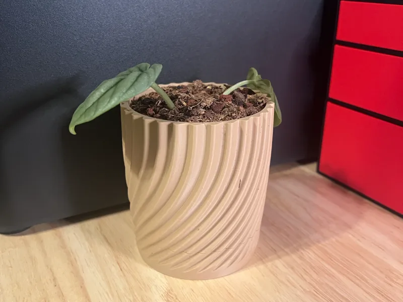 Plant Pot with Drip Tray
