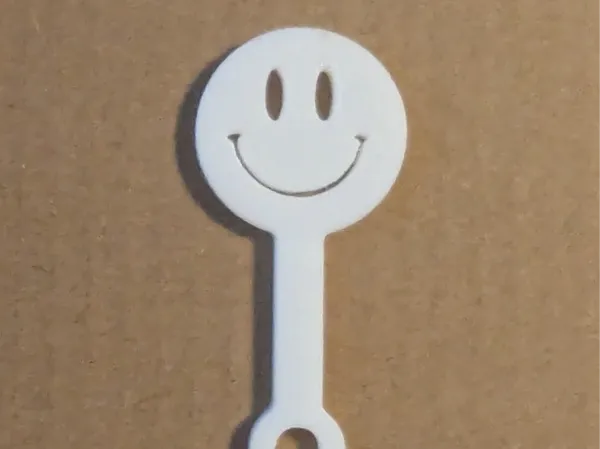 https://makerworld.bblmw.com/makerworld/model/USe91f44b0d95767/design/2025-01-01_caf59f23a662e8.jpg