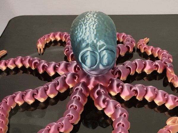 https://makerworld.bblmw.com/makerworld/model/USe924a7e03fcb7b/design/2024-08-19_ad53cb952b223.gif