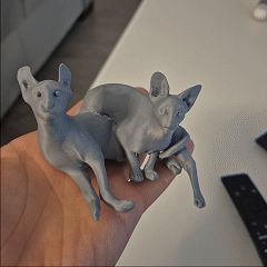 Sphynx Cat Duo – Relaxing Pose