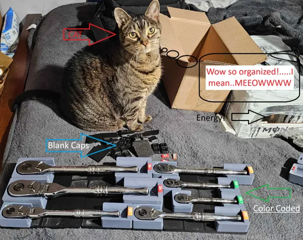 https://makerworld.bblmw.com/makerworld/model/USe9321ce601e355/design/2024-11-14_c9bd400e9b759.png