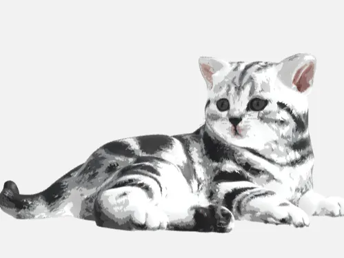 Lying Cat