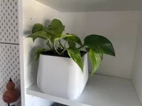 0.2mm layer, 3 walls, 15% infill