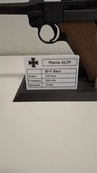 Pistole 06/29: 0.2mm nozzle, 0.06mm layer, 8 walls