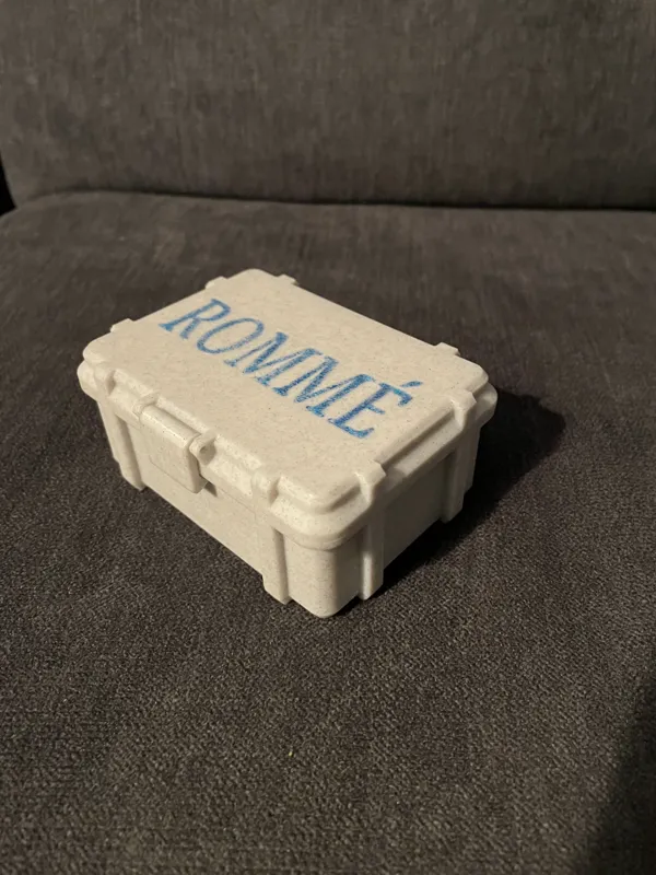 https://makerworld.bblmw.com/makerworld/model/USe93f9b771c1461/design/2024-01-29_00e45889c91d.jpg