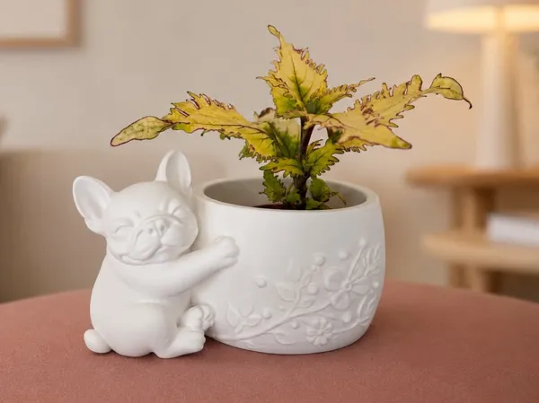 https://makerworld.bblmw.com/makerworld/model/USe941c709649273/design/eeae7b950051e299.jpg
