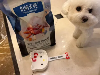 Hello Kitty print-in-place cartoon dog and cat food scoop