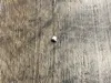 0.2mm layer, 2 walls, 15% infill, 0.07 grams per cube