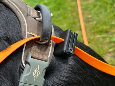 Dog leash slip limiter