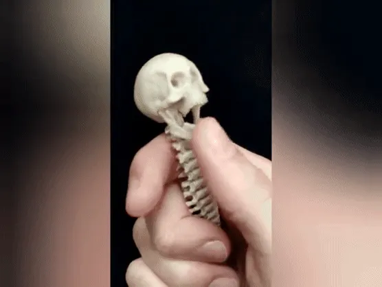 L'ANTISTRESS DEL PREDATOR (FULLY ARTICULATED) view 3